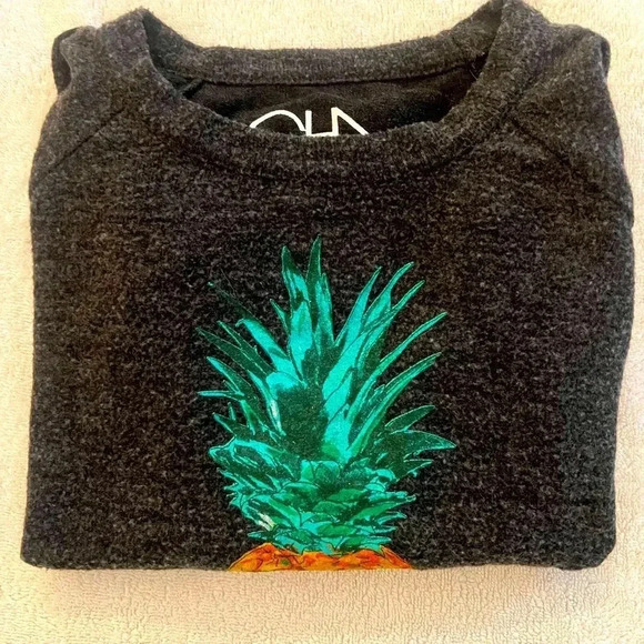 Soft long sleeve charcoal gray pullover with a pineapple graphic on front - Picture 6 of 6